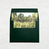 "A7 Envelope Liners Square Flap // Field of Oats (Set of 25)" - Envelope Liners in green by Clover and Lamb