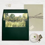"A7 Envelope Liners Square Flap // Field of Oats (Set of 25)" - Envelope Liners in green by Clover and Lamb