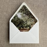 "Moss french crest vellum wrap for 5x7 card + olive trees liner for A7 euro envelope" - Envelope Liners in green by Ivory Invitations