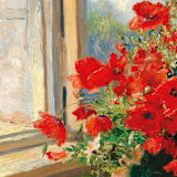 "A7 Fine Art Envelope Liners Square Flap // Crimson Poppies (Set of 25)" - Envelope Liners in red by Clover and Lamb