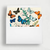 "Colorful Butterfly Liner | Set of 25 Square Envelope Liners" - Envelope Liners in multicolorassorted-colors by Nikki Turner