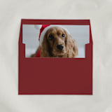 "Custom ‘Pet’ Envelope Liners, Square Flap, Pack of 25" - Envelope Liners in multicolorassorted-colors by Studio Lavender