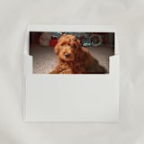"Custom ‘Pet’ Envelope Liners, Square Flap, Pack of 25" - Envelope Liners in multicolorassorted-colors by Studio Lavender
