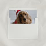 "Custom ‘Pet’ Envelope Liners, Square Flap, Pack of 25" - Envelope Liners in multicolorassorted-colors by Studio Lavender