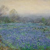 "Lavender Field Envelope Liners, Pack of 25" - Envelope Liners in multicolor by Studio Lavender