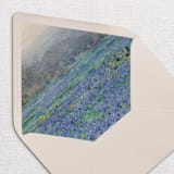 "Lavender Field Envelope Liners, Pack of 25" - Envelope Liners in multicolor by Studio Lavender