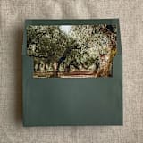 "Olive tree grove fine art landscape printed liner for A7 square flap envelope | pack of 10" - Envelope Liners in green by Ivory Invitations