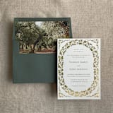 "Olive tree grove fine art landscape printed liner for A7 square flap envelope | pack of 10" - Envelope Liners in green by Ivory Invitations