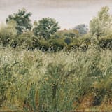 "Wildflower Field Envelope Liners, Pack of 25" - Envelope Liners in multicolorassorted-colors by Studio Lavender