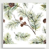 "Pinecone Branch | Set of 25 Envelope Liners" - Envelope Liners in green by Nikki Turner