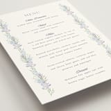 "Hydrangea" - Menus in Toscana by Claudia Orengo - Detail