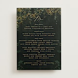 "New Orleans from Disney's Princess and The Frog" - Menus in Mystic by Phrosné Barwood - Front