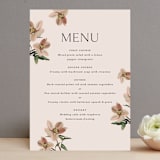 "Halcyon" - Menus in Dove by Olivia Kanaley Inman - Front