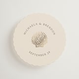 "Seaside" - Mini Enclosure Cards in Champagne by Griffinbell Paper Co. - Front