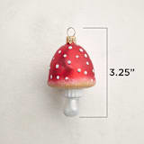 "Red Top Mushroom" - Ornaments in Redcap by Minted - Dimensions