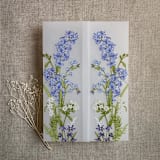 "Eleanor blue and white floral botanic garden printed vellum wrap for 5x7 card | pack of 10" - Invitation Jackets and Overlays in blue by Ivory Invitations