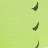 "Bright Green, Textured, Embossed, Scalloped Invitation Jacket, Qty 10" - Invitation Jackets and Overlays in green by The Savage Label