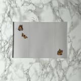 "Monarch Butterfly Vellum Jackets (10 pack)" - Invitation Jackets and Overlays in clear by Carley Zuercher