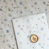 "Dusty Blue Pressed Flowers Vellum Jacket | Set of 10" - Invitation Jackets and Overlays in blue by Megan Tendler