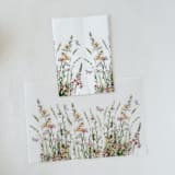 "Pink and Peach Floral Botanical Garden Vellum Wrap For 5x7 Card | Pack Of 10" - Invitation Jackets and Overlays in multicolorassorted-colors by Eva Friesen