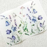 "Purple Wildflowers Vellum Jackets | Set of 10" - Invitation Jackets and Overlays in purple by Megan Tendler