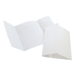 "Save the Date Vellum Jacket 4.25 x 5.5 (Set of 25)" - Invitation Jackets and Overlays in clear by Caroline Russo