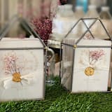 "Save the Date Vellum Jacket 4.25 x 5.5 (Set of 25)" - Invitation Jackets and Overlays in clear by Caroline Russo
