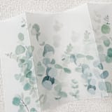 "Eucalyptus Sprigs Vellum Jacket | Set of 10" - Invitation Jackets and Overlays in green by Megan Tendler