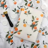 "Orange Vellum Wrap (10 Pack)" - Invitation Jackets and Overlays in orange by Carley Zuercher