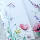 "Meadow Flora Vellum Jackets | Set of 10" - Invitation Jackets and Overlays in multicolor by Megan Tendler