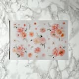 "Blush and Peach Floral Vellum Jackets (10 pack)" - Invitation Jackets and Overlays in pink by Carley Zuercher