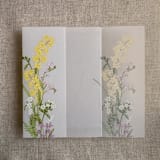 "Eleanor yellow and pink floral botanic garden printed vellum wrap for 5x7 card | pack of 10" - Invitation Jackets and Overlays in yellow by Ivory Invitations