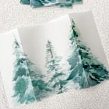 "Evergreen Trees Vellum Jacket | Set of 10" - Invitation Jackets and Overlays in green by Megan Tendler