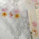 "Simple Poppy Floral Vellum Jacket (10 pack)" - Invitation Jackets and Overlays in clear by Carley Zuercher