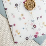 "Watercolor Pressed Flowers Vellum Jacket | Set of 10" - Invitation Jackets and Overlays in multicolor by Megan Tendler