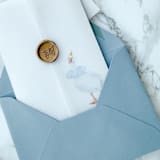 "One Silly Goose First Birthday or Baby Shower Invitation Vellum Jacket, 5x7 Wrap (Set of 10)" - Invitation Jackets and Overlays in clear by Carley Zuercher