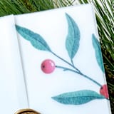 "Red Berries Vellum Jackets | Set of 10" - Invitation Jackets and Overlays in green by Megan Tendler