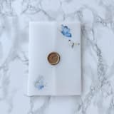 "Blue & Yellow Butterfly Vellum Jackets (10 pack)" - Invitation Jackets and Overlays in clear by Carley Zuercher