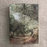 "Olive tree grove fine art landscape printed vellum wrap for 5x7 card  | pack of 10" - Invitation Jackets and Overlays in green by Ivory Invitations