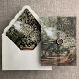 "Olive tree grove fine art landscape printed vellum wrap for 5x7 card  | pack of 10" - Invitation Jackets and Overlays in green by Ivory Invitations
