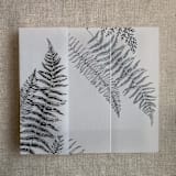"Black fern leaves greenery printed vellum wrap for 5x7 card  | pack of 10" - Invitation Jackets and Overlays in black by Ivory Invitations