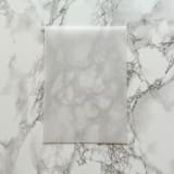 "4.25x6 Vellum Overlay Vellum for Petite Minted Wedding Invitation (25 Pack)" - Invitation Jackets and Overlays in clear by Carley Zuercher