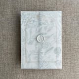 "Maeve botany breezy printed vellum wrap for 5x7 card | pack of 10" - Invitation Jackets and Overlays in blue by Ivory Invitations