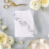 "Simply Stated | Set of 10 Vellum Jackets" - Invitation Jackets and Overlays in clear by Nikki Turner