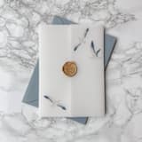 "Coastal Vellum Wrap with Seagulls (10 Pack)" - Invitation Jackets and Overlays in clear by Carley Zuercher