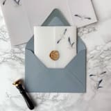 "Coastal Vellum Wrap with Seagulls (10 Pack)" - Invitation Jackets and Overlays in clear by Carley Zuercher
