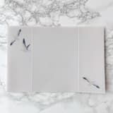 "Coastal Vellum Wrap with Seagulls (10 Pack)" - Invitation Jackets and Overlays in clear by Carley Zuercher