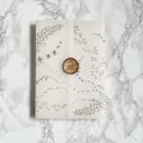 "Fairytale Ivy Vellum Wrap (10 pack)" - Invitation Jackets and Overlays in clear by Carley Zuercher