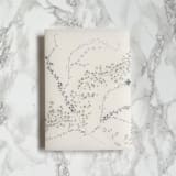"Fairytale Ivy Vellum Wrap (10 pack)" - Invitation Jackets and Overlays in clear by Carley Zuercher
