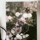 "Elegant Vintage Moody Floral Vellum Wrap" - Invitation Jackets and Overlays in multicolor by Eva Friesen
